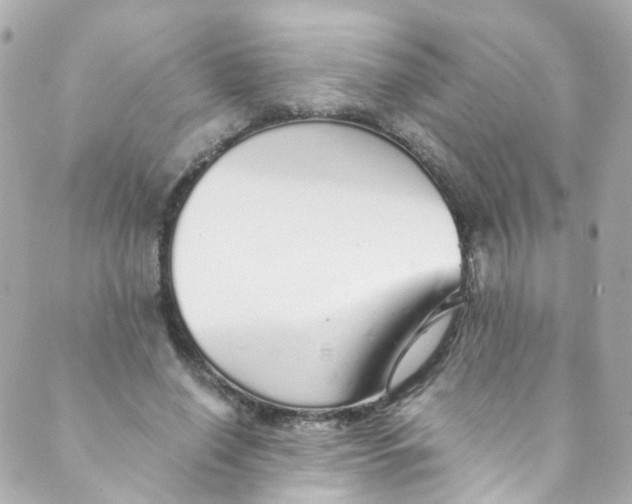 X0000088840638200706281822