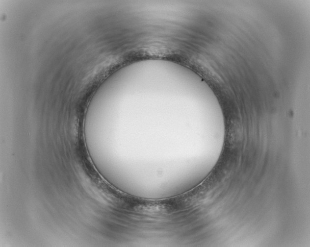 X0000088840639200706281822