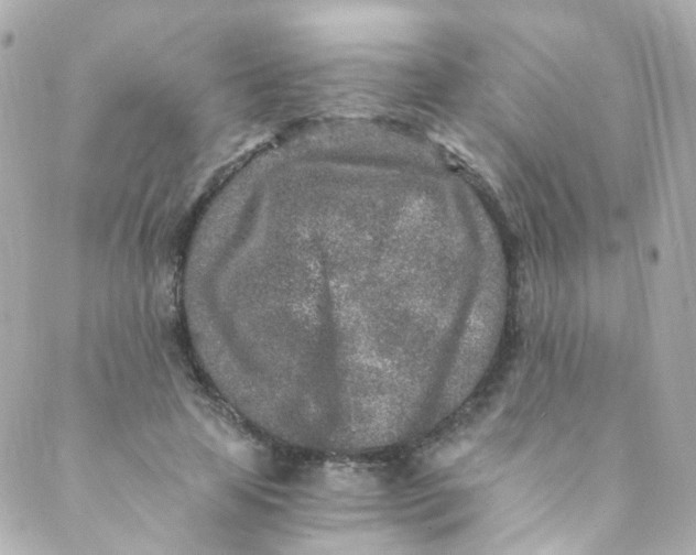 X0000088840641200706281822