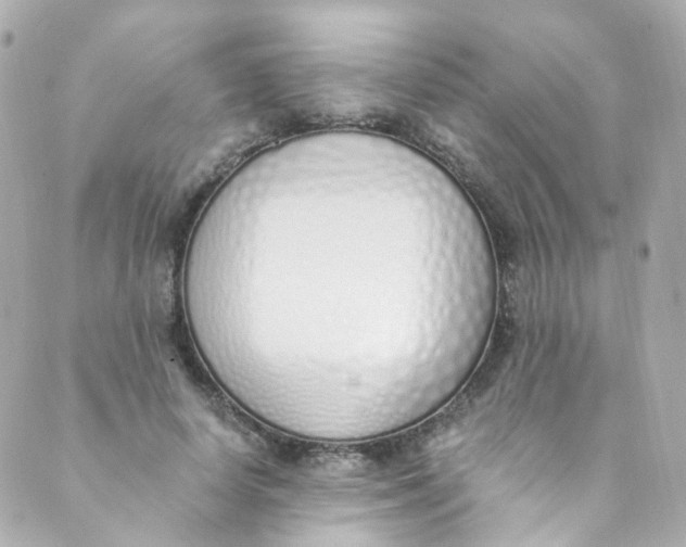 X0000088840642200706281822