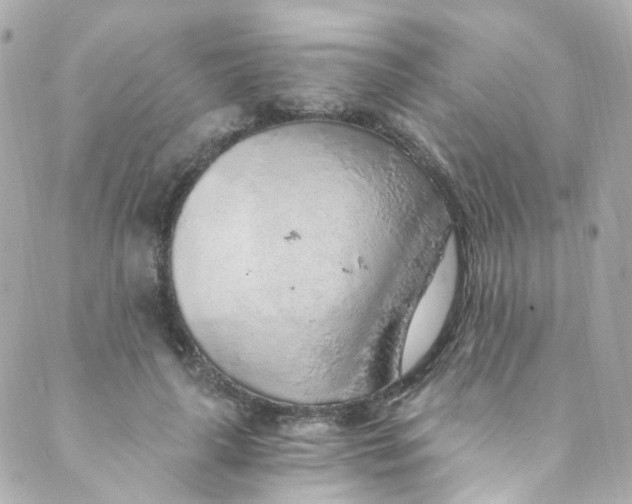 X0000088840643200706281822