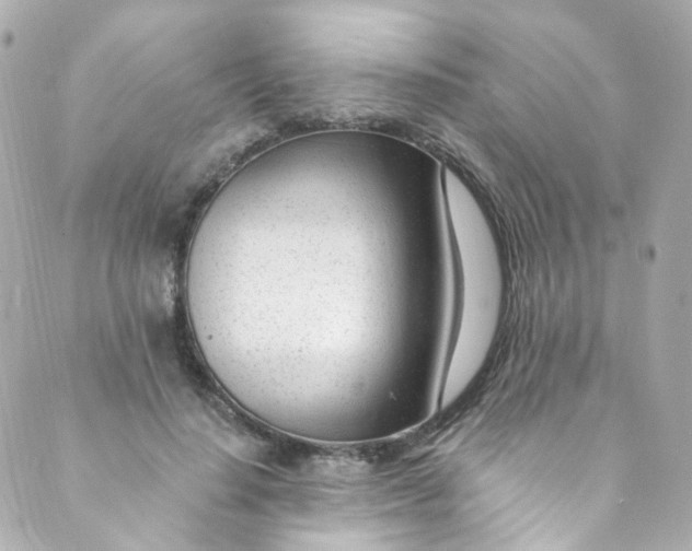 X0000088840644200706281822