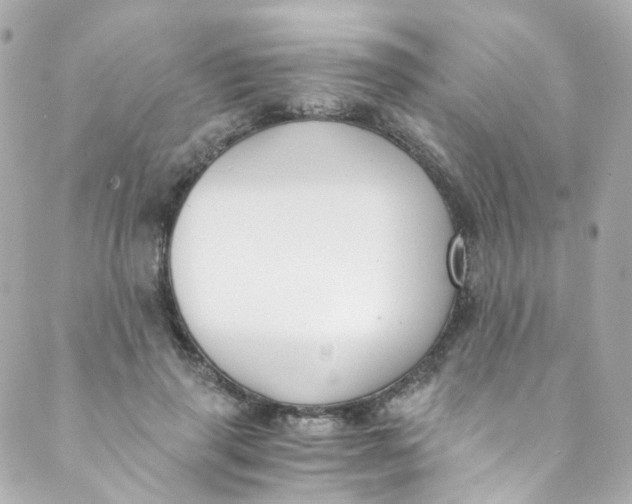 X0000088840645200706281822