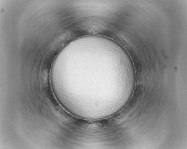 X0000088840646200706281822