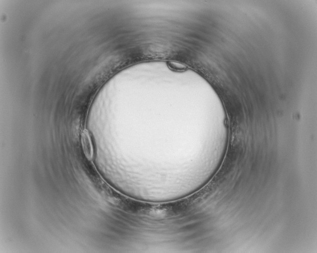 X0000088840647200706281822