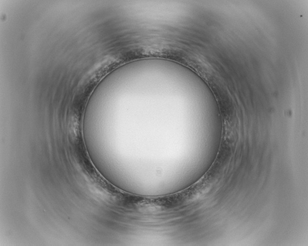 X0000088840648200706281822