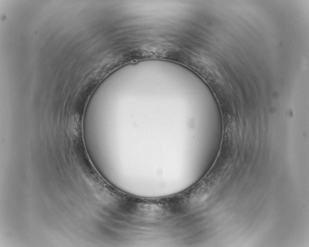 X0000088840649200706281822