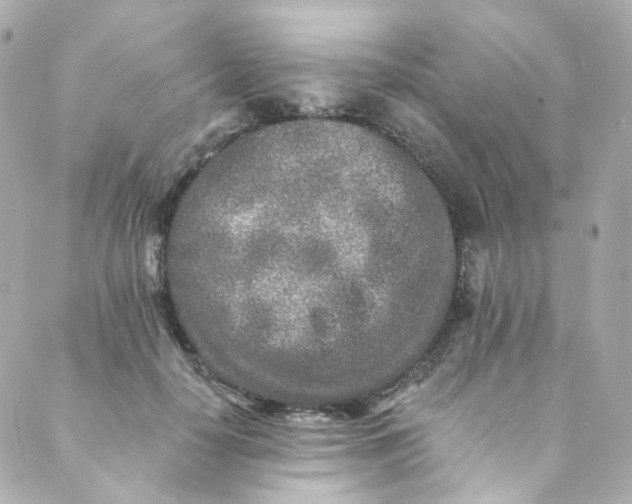 X0000088840650200706281822