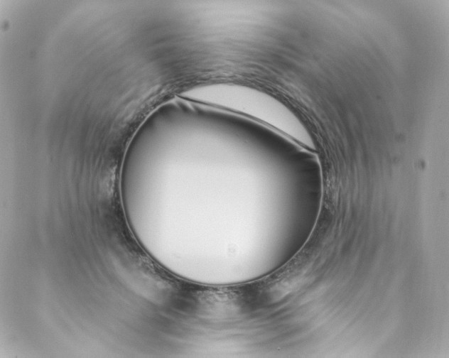 X0000088840652200706281822