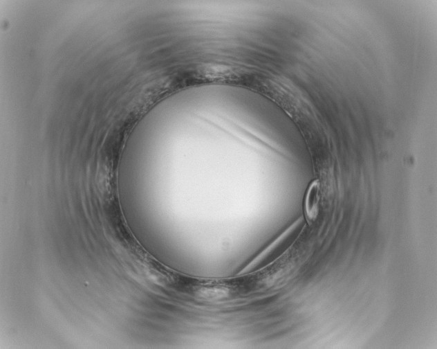 X0000088840653200706281822