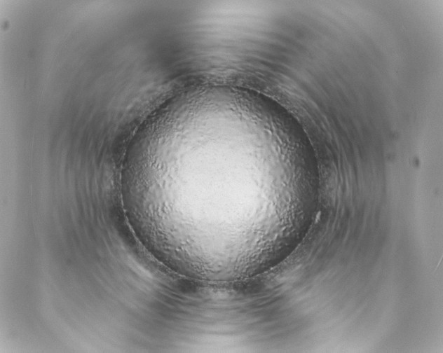 X0000088840654200706281823