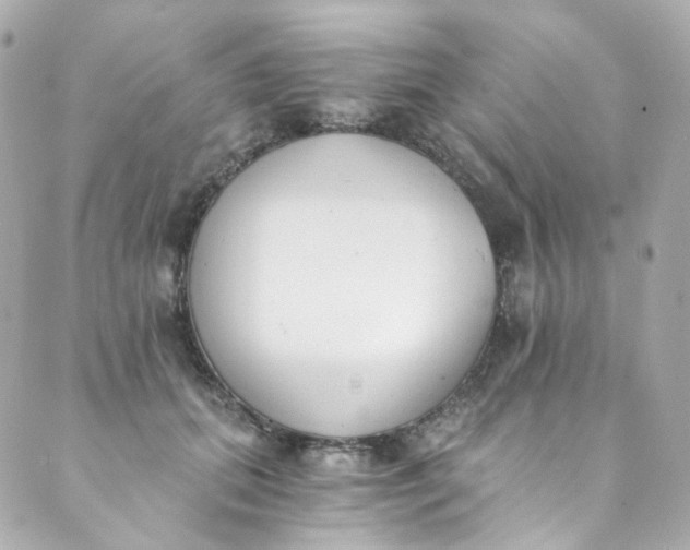 X0000088840655200706281823