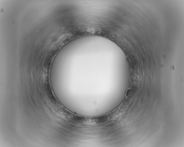 X0000088840656200706281823