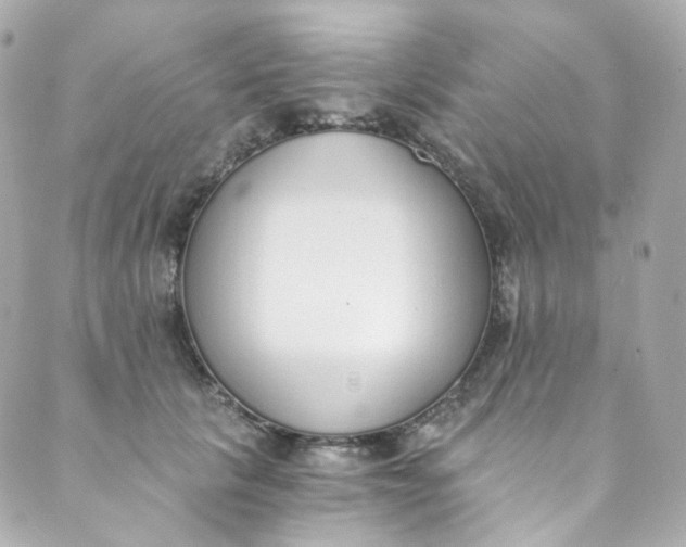 X0000088840657200706281823