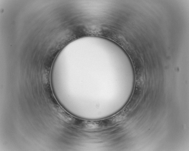 X0000088840658200706281823