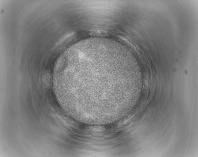 X0000088840659200706281823