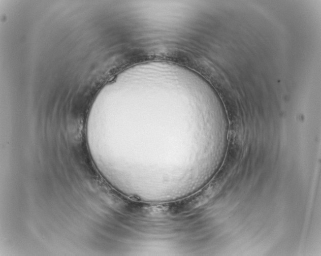 X0000088840660200706281823