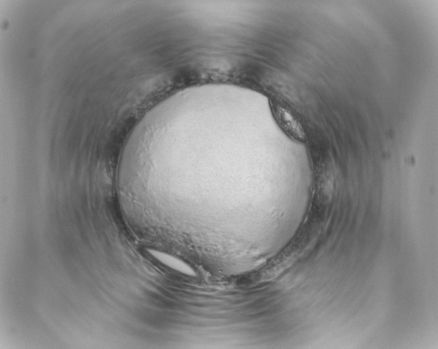 X0000088840661200706281823