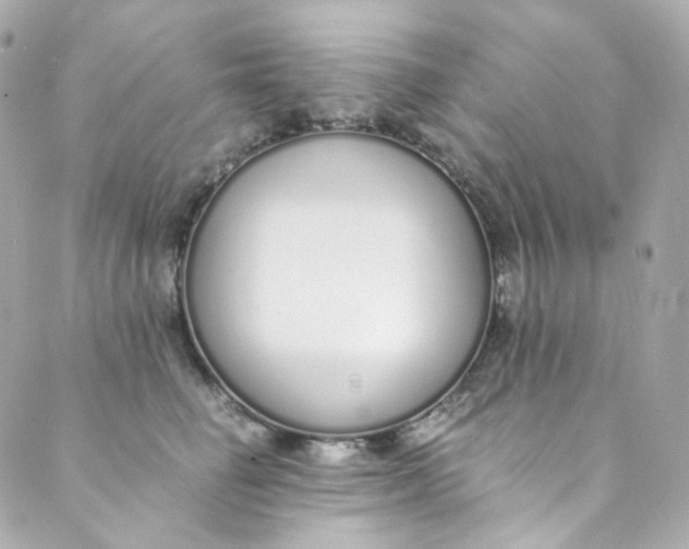 X0000088840662200706281823