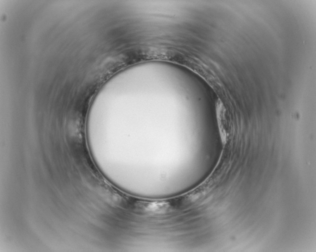 X0000088840663200706281823