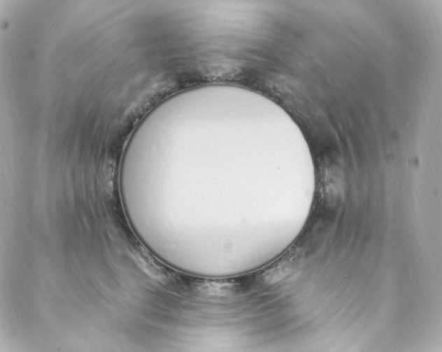 X0000088840664200706281823