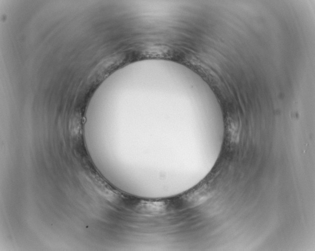 X0000088840665200706281823