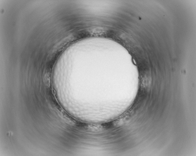 X0000088840666200706281823