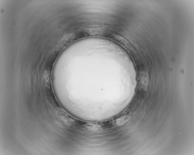 X0000088840667200706281823