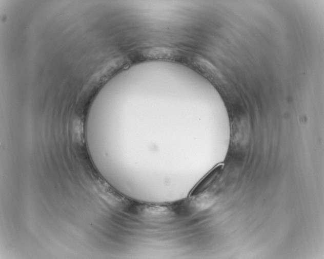 X0000088840669200706281823