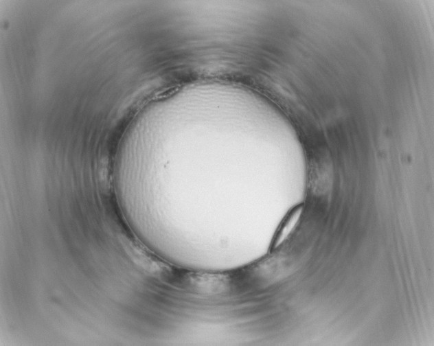 X0000088840670200706281823