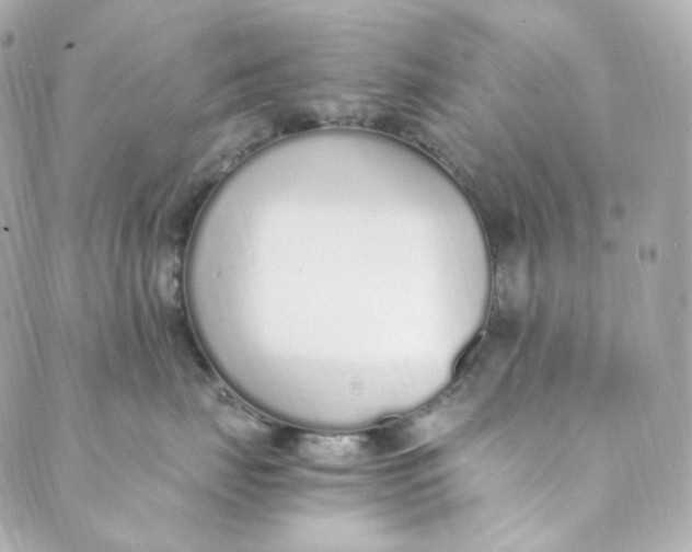 X0000088840671200706281823