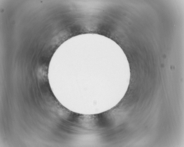 X0000088840672200706281823