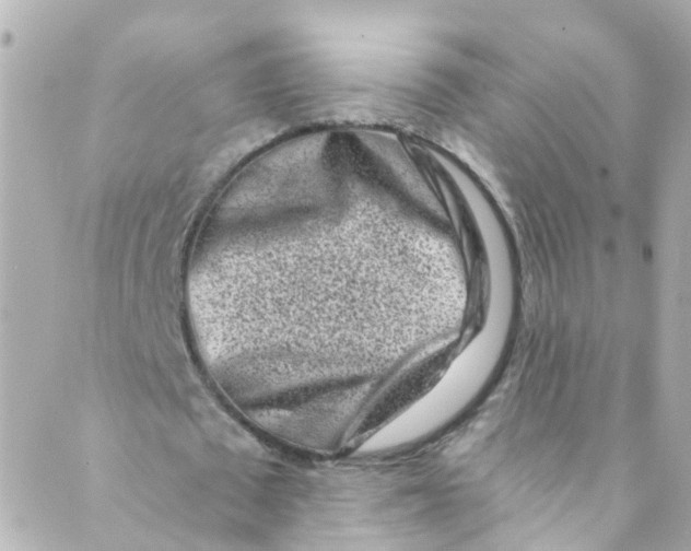 X0000088840673200706281822