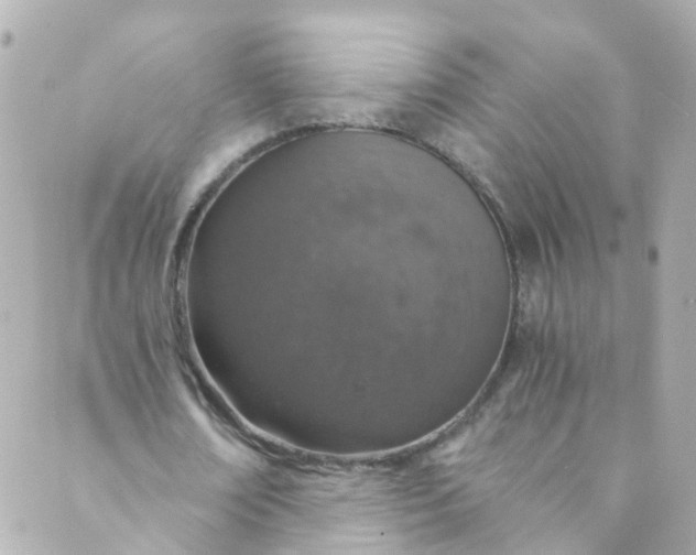 X0000088840674200706281822