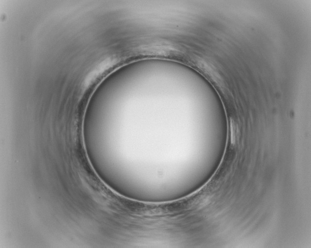 X0000088840675200706281822