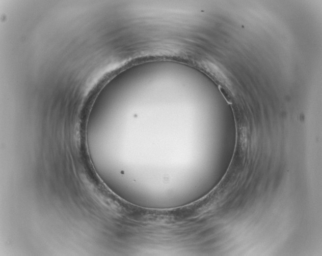 X0000088840676200706281822