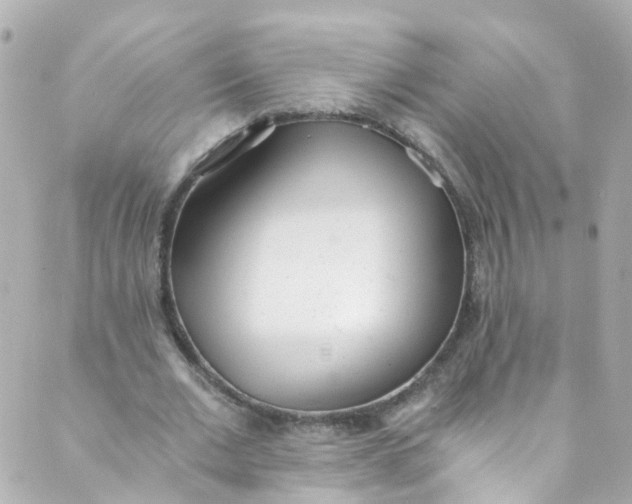 X0000088840677200706281822