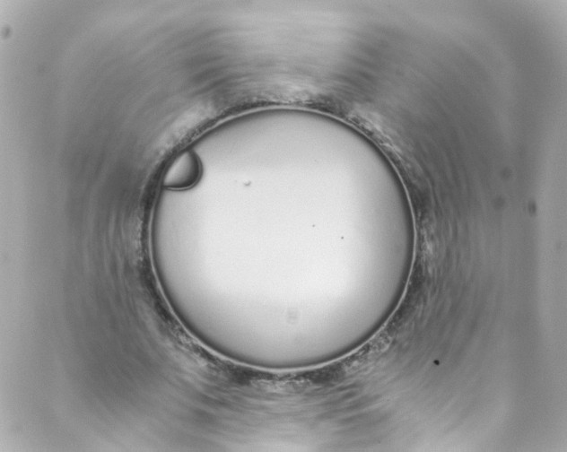 X0000088840679200706281822