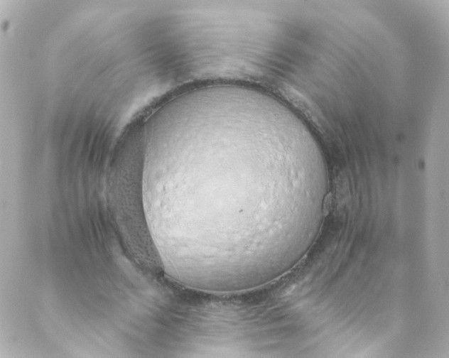 X0000088840680200706281822