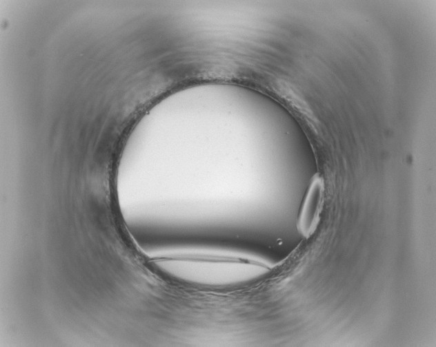 X0000088840681200706281822