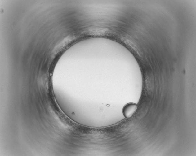 X0000088840682200706281822