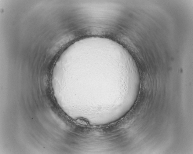 X0000088840683200706281822