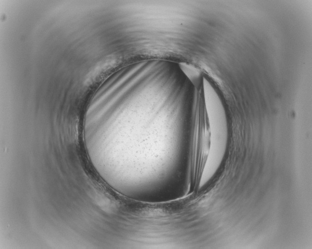 X0000088840685200706281822