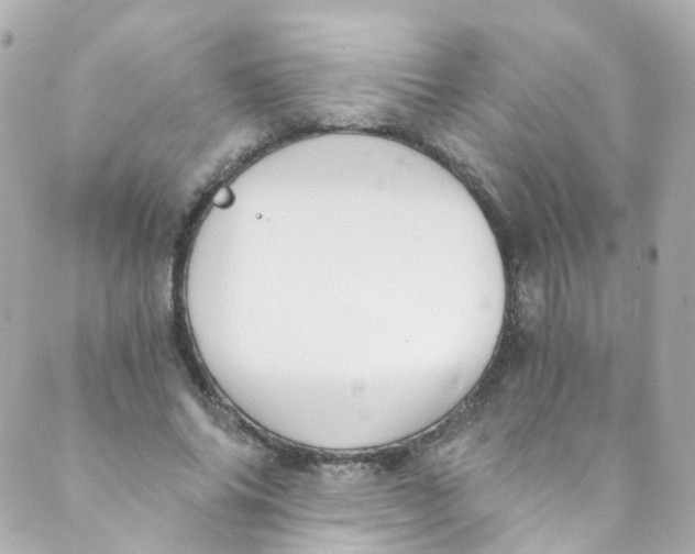 X0000088840686200706281822