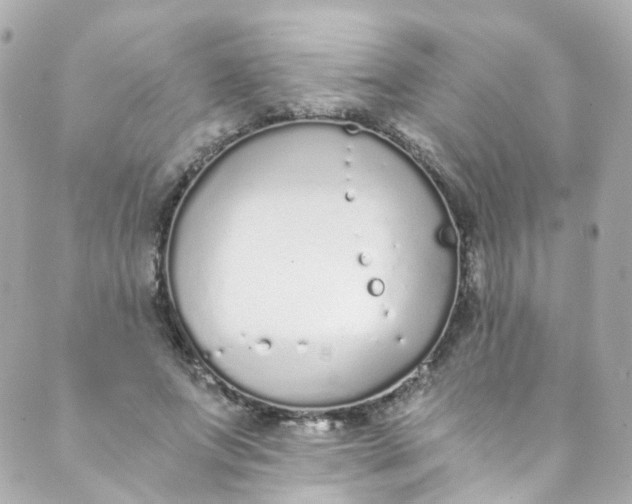 X0000088840687200706281822