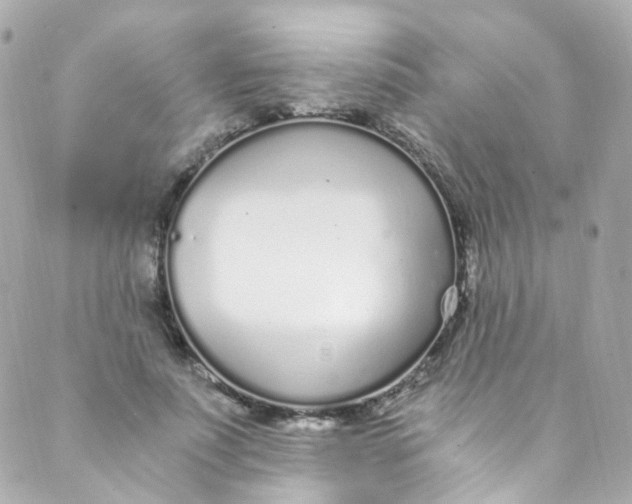 X0000088840691200706281822