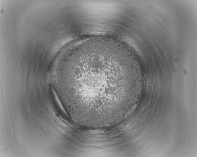 X0000088840692200706281822