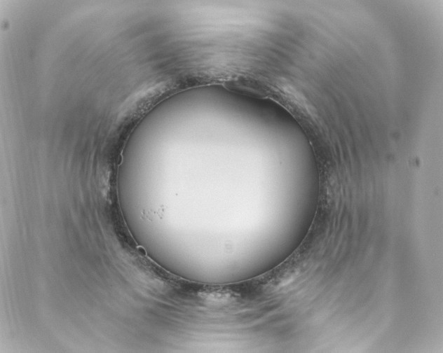 X0000088840693200706281822