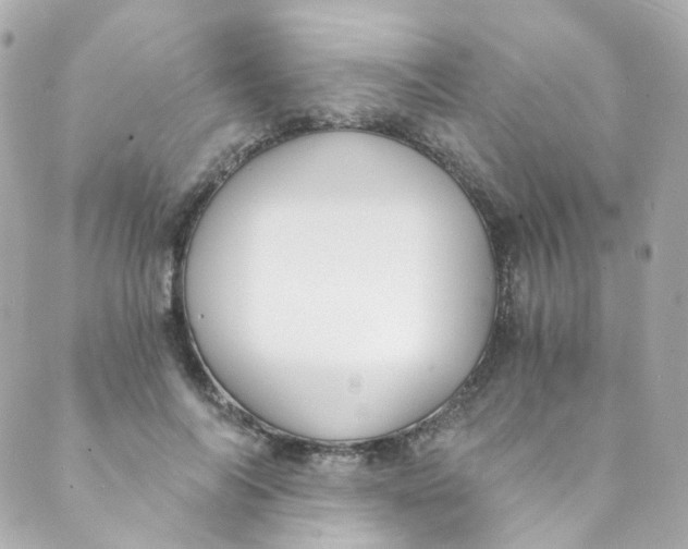 X0000088840694200706281822