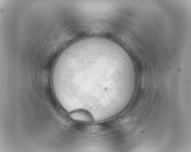 X0000088840695200706281822